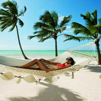 Отзыв от Снежана - DTV виза